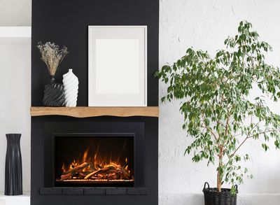 Amantii: Traditional Bespoke 30 - Indoor/Outdoor Insert - primary view